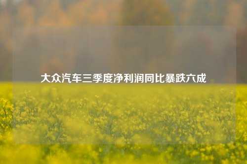 大众汽车三季度净利润同比暴跌六成