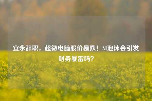 安永辞职，超微电脑股价暴跌！AI泡沫会引发财务暴雷吗？