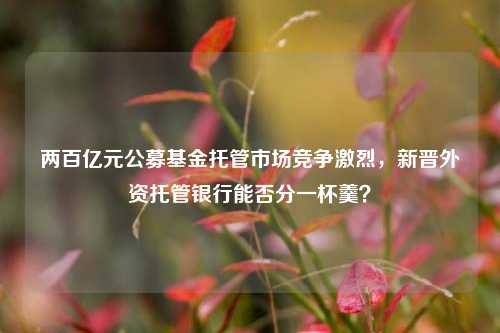 两百亿元公募基金托管市场竞争激烈，新晋外资托管银行能否分一杯羹？