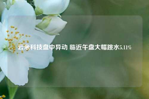 云米科技盘中异动 临近午盘大幅跳水5.11%