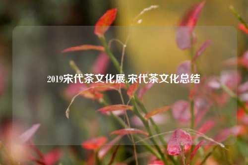 2019宋代茶文化展,宋代茶文化总结