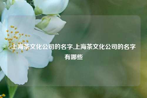 上海茶文化公司的名字,上海茶文化公司的名字有哪些