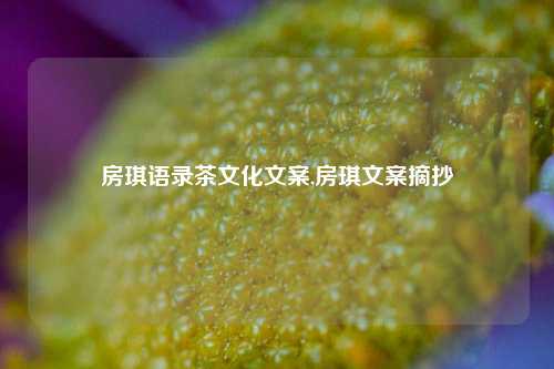 房琪语录茶文化文案,房琪文案摘抄