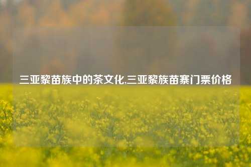 三亚黎苗族中的茶文化,三亚黎族苗寨门票价格