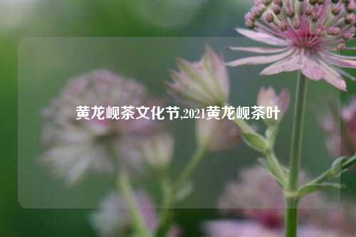 黄龙岘茶文化节,2021黄龙岘茶叶