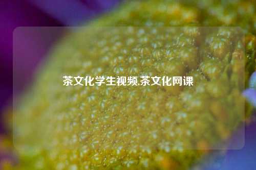 茶文化学生视频,茶文化网课