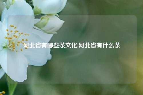 河北省有哪些茶文化,河北省有什么茶