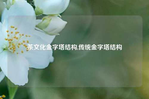 茶文化金字塔结构,传统金字塔结构