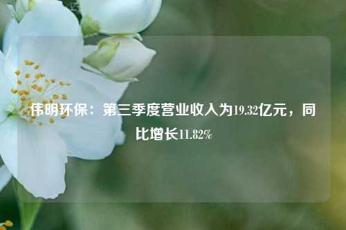 伟明环保：第三季度营业收入为19.32亿元，同比增长11.82%