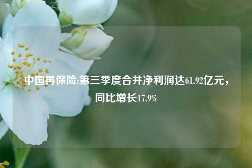 中国再保险:第三季度合并净利润达61.92亿元，同比增长17.9%