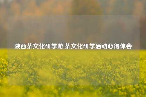 陕西茶文化研学游,茶文化研学活动心得体会