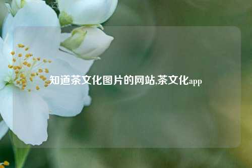 知道茶文化图片的网站,茶文化app