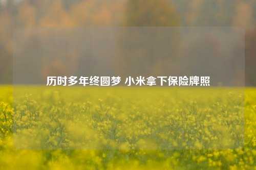 历时多年终圆梦 小米拿下保险牌照