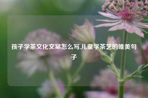 孩子学茶文化文案怎么写,儿童学茶艺的唯美句子