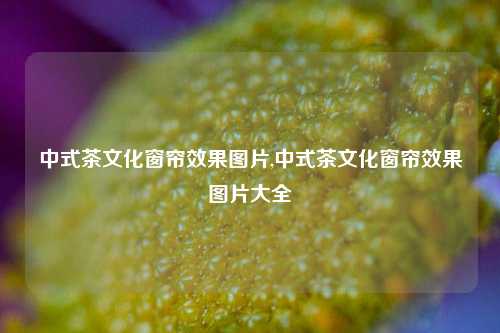 中式茶文化窗帘效果图片,中式茶文化窗帘效果图片大全