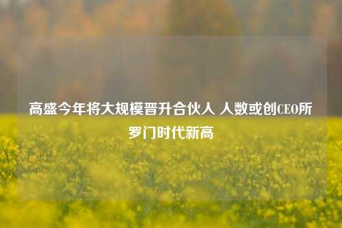 高盛今年将大规模晋升合伙人 人数或创CEO所罗门时代新高