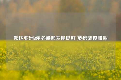 邦达亚洲:经济数据表现良好 英镑隔夜收涨