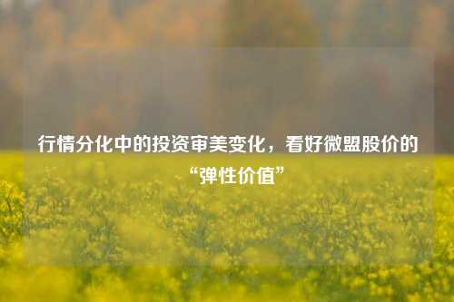 行情分化中的投资审美变化，看好微盟股价的“弹性价值”