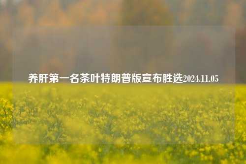 养肝第一名茶叶特朗普版宣布胜选2024.11.05