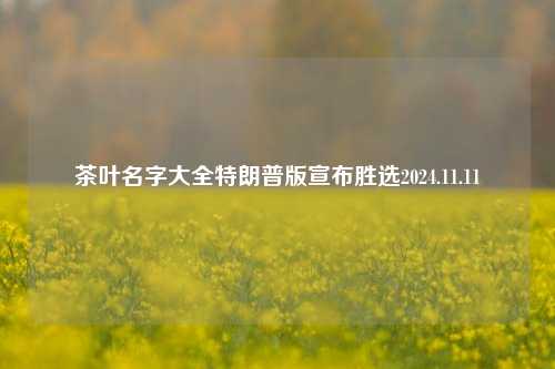 茶叶名字大全特朗普版宣布胜选2024.11.11