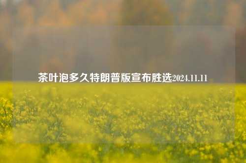 茶叶泡多久特朗普版宣布胜选2024.11.11