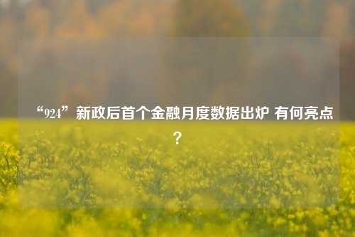 “924”新政后首个金融月度数据出炉 有何亮点？