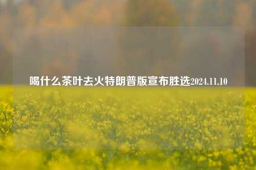 喝什么茶叶去火特朗普版宣布胜选2024.11.10