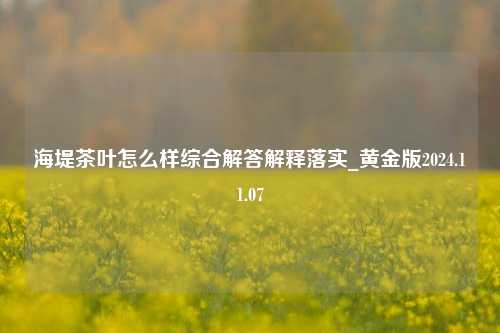 海堤茶叶怎么样综合解答解释落实_黄金版2024.11.07