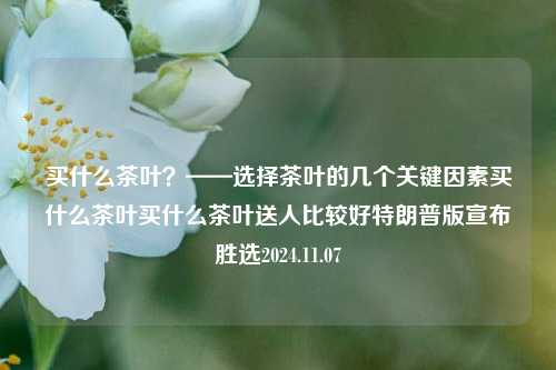 买什么茶叶？——选择茶叶的几个关键因素买什么茶叶买什么茶叶送人比较好特朗普版宣布胜选2024.11.07