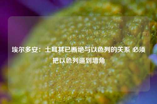 埃尔多安：土耳其已断绝与以色列的关系 必须把以色列逼到墙角