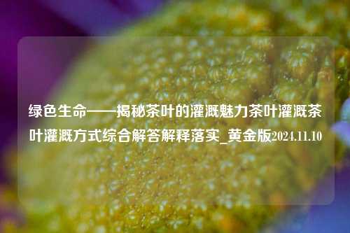 绿色生命——揭秘茶叶的灌溉魅力茶叶灌溉茶叶灌溉方式综合解答解释落实_黄金版2024.11.10