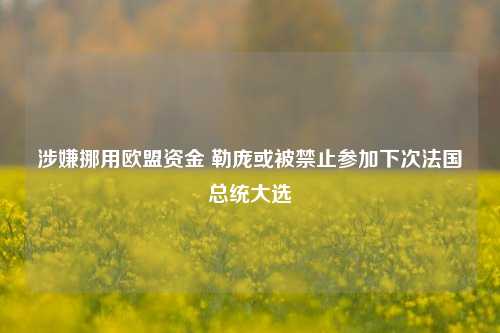 涉嫌挪用欧盟资金 勒庞或被禁止参加下次法国总统大选