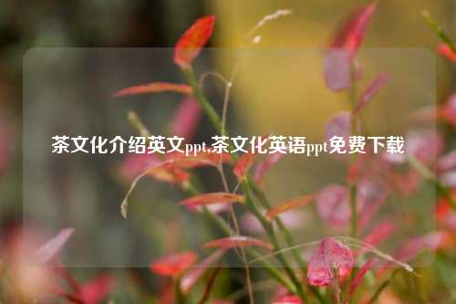 茶文化介绍英文ppt,茶文化英语ppt免费下载