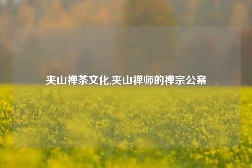 夹山禅茶文化,夹山禅师的禅宗公案