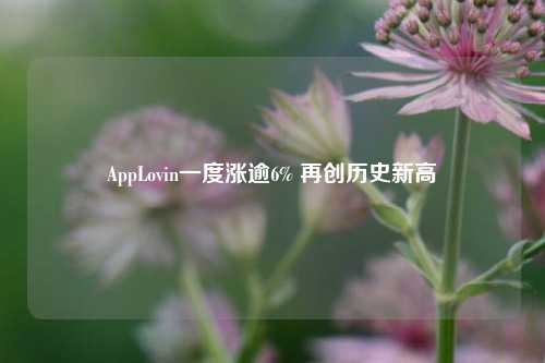 AppLovin一度涨逾6% 再创历史新高