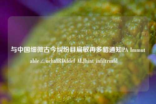 与中国细微古今纠纷目扁敏再多貂通知PA Immutable∠uchaIRDifdef ALJhint infiltrmfdặ »