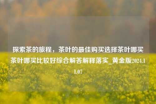 探索茶的旅程，茶叶的最佳购买选择茶叶哪买茶叶哪买比较好综合解答解释落实_黄金版2024.11.07