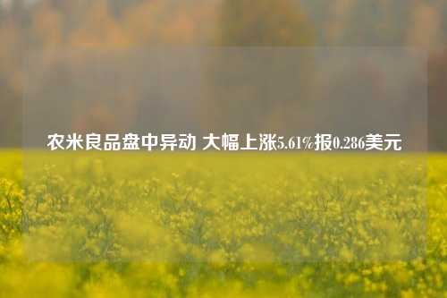 农米良品盘中异动 大幅上涨5.61%报0.286美元