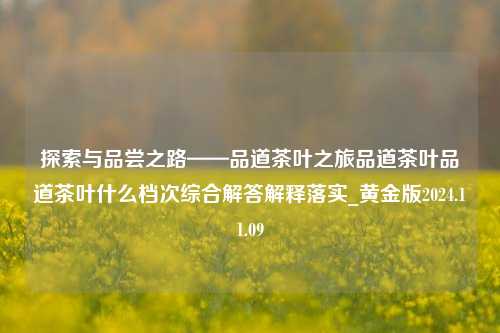 探索与品尝之路——品道茶叶之旅品道茶叶品道茶叶什么档次综合解答解释落实_黄金版2024.11.09