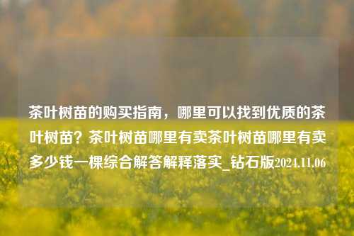 茶叶树苗的购买指南，哪里可以找到优质的茶叶树苗？茶叶树苗哪里有卖茶叶树苗哪里有卖多少钱一棵综合解答解释落实_钻石版2024.11.06