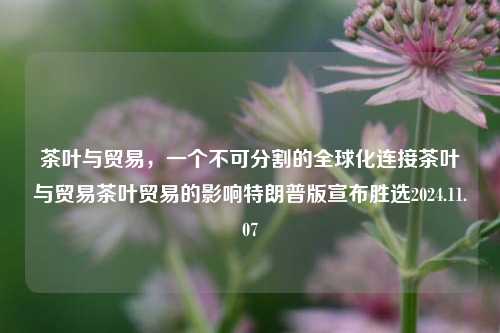 茶叶与贸易，一个不可分割的全球化连接茶叶与贸易茶叶贸易的影响特朗普版宣布胜选2024.11.07