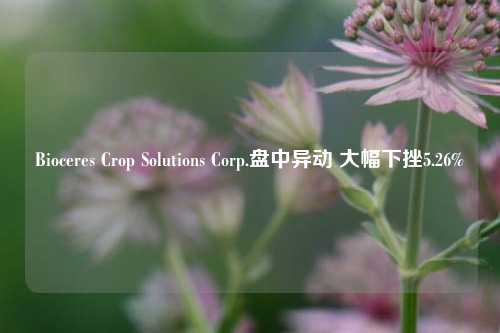 Bioceres Crop Solutions Corp.盘中异动 大幅下挫5.26%