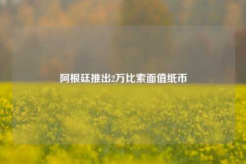 阿根廷推出2万比索面值纸币