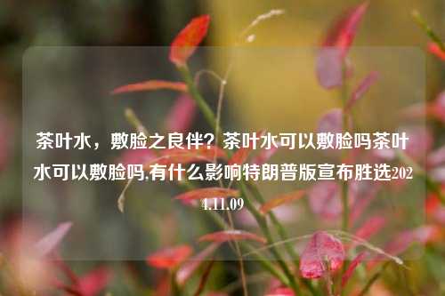 茶叶水，敷脸之良伴？茶叶水可以敷脸吗茶叶水可以敷脸吗,有什么影响特朗普版宣布胜选2024.11.09