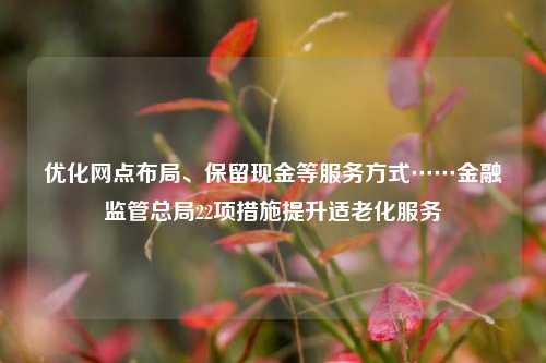 优化网点布局、保留现金等服务方式……金融监管总局22项措施提升适老化服务