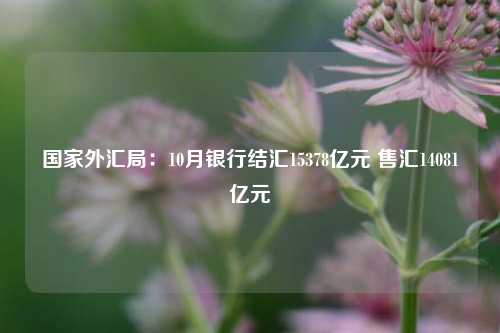 国家外汇局：10月银行结汇15378亿元 售汇14081亿元