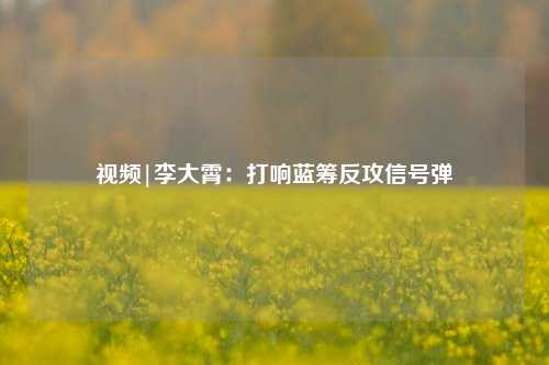 视频|李大霄：打响蓝筹反攻信号弹