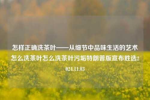 怎样正确洗茶叶——从细节中品味生活的艺术怎么洗茶叶怎么洗茶叶污垢特朗普版宣布胜选2024.11.03