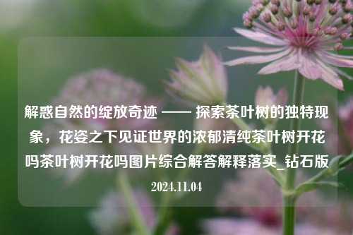 解惑自然的绽放奇迹 —— 探索茶叶树的独特现象，花姿之下见证世界的浓郁清纯茶叶树开花吗茶叶树开花吗图片综合解答解释落实_钻石版2024.11.04