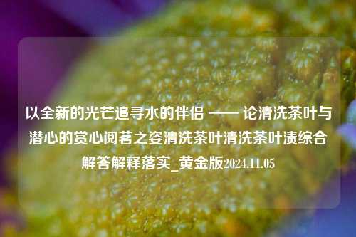 以全新的光芒追寻水的伴侣 —— 论清洗茶叶与潜心的赏心阅茗之姿清洗茶叶清洗茶叶渍综合解答解释落实_黄金版2024.11.05